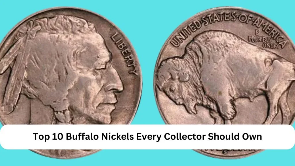 Top 10 Buffalo Nickels Every Collector Should Own