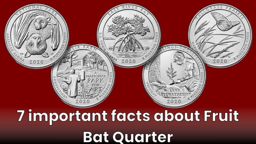 7 important facts about Fruit Bat Quarter