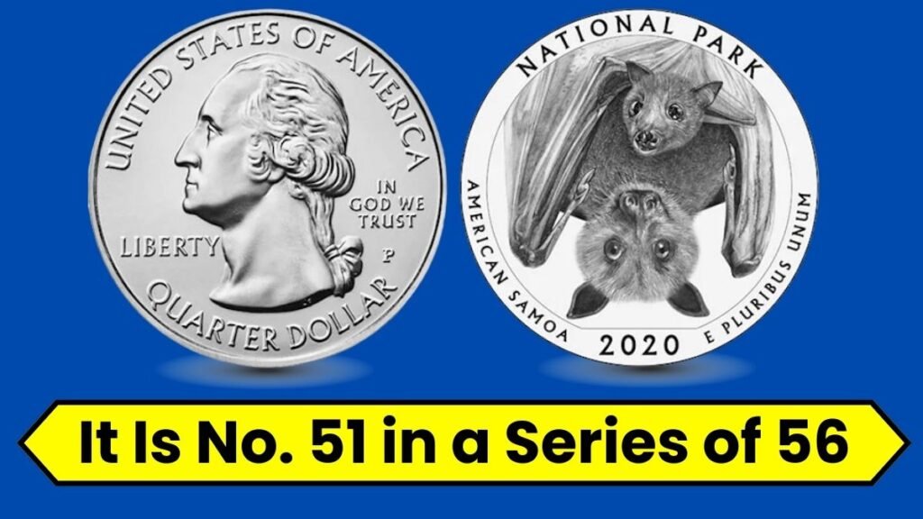 7 important facts about Fruit Bat Quarter