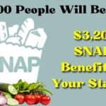 $3,200 SNAP Benefit In Your State?