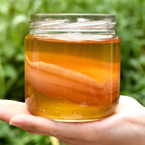 Kombucha tea